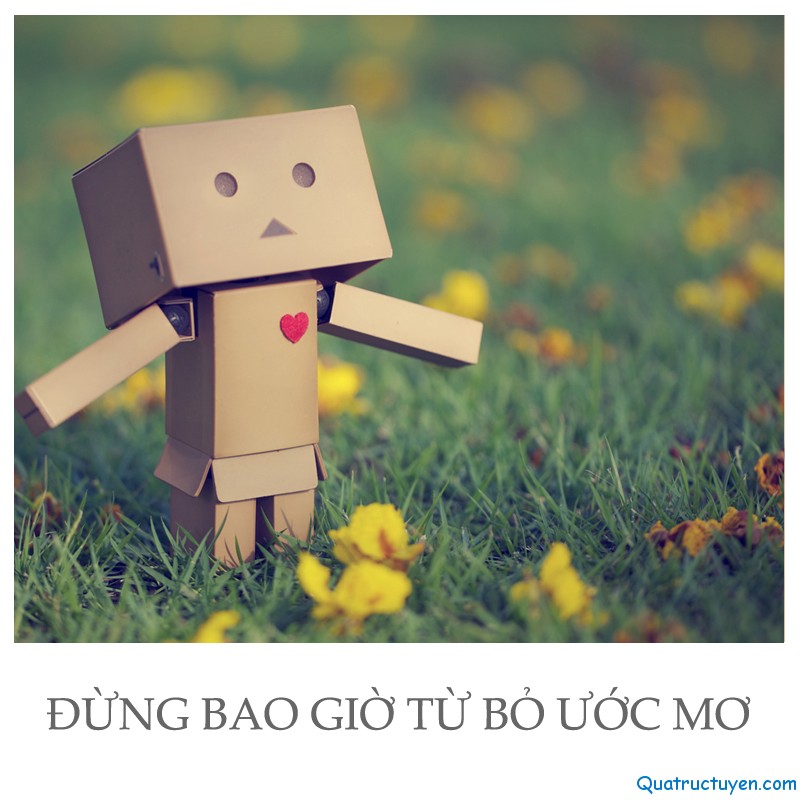 Câu chuyện cuộc sống: Dẫu thế nào đi nữa