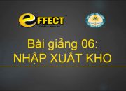 HDSD – EFFECT – EFFE – Bài giảng 06 – Nhập xuất kho