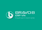 [Giới thiệu] Giải pháp Phần mềm Quản trị tổng thể doanh nghiệp BRAVO 8 (ERP-VN)