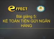 HDSD – EFFECT – EFFE – Bài giảng 05 – Kế toán tiền gửi ngân hàng