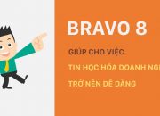 Quản lý Tài chính – Kế toán với phần mềm BRAVO 8 (ERP-VN) – Phần 2