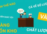 Quản lý Hàng tồn kho với phần mềm BRAVO 8 (ERP-VN)