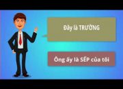 GIỚI THIỆU PHẦN MỀM KẾ TOÁN STP ENTERPRISE