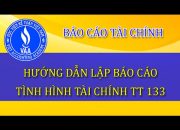 Hướng dẫn lập Báo cáo tình hình tài chính theo thông tư 133/2016/TT-BTC