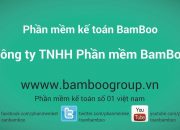 Hướng dẫn khai báo danh mục tài khoản trên phần mềm kế toán Bamboo Accounting