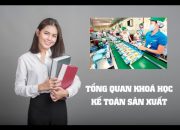 Giới thiệu tổng quan về khoá học thực hành kế toán sản xuất