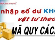 Nhập số dư tồn VTHH chi tiết theo Mã Quy cách – Rất đơn giản!!! | Học MISA Online