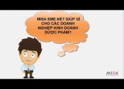 Phần mềm kế toán MISA SME.NET cho doanh nghiệp thuộc lĩnh vực dược phẩm, mỹ phẩm, thực phẩm, rượu…