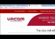 Cách tra cứu MST Cá nhân cực kỳ đơn giản