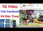 Hướng dẫn tải video từ Facebook về điện thoại ai cũng làm được 100%