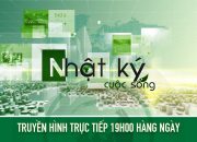 🔴 [Trực tiếp] Bản tin Nhật ký cuộc sống ngày 09/12/2019    | VTC14