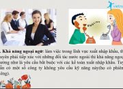 Những kiến thức và kỹ năng kế toán xuất nhập khẩu cần có