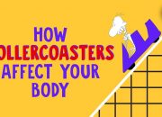 How rollercoasters affect your body – Brian D. Avery