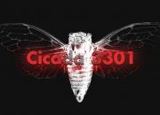 Cicada 3301: An Internet Mystery