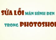 Sửa lỗi màn hình đen trong Photoshop khi zoom và di chuyển ảnh