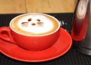 hướng dẫn cách làm cafe latte art | máy pha cafe espresso kahchan