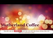 GIỚI THIỆU VỀ MOTHERLAND COFFEE, CAFE PHA PHIN, CÀ PHÊ PHA MÁY ESPRESSO