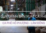 QUY TRÌNH SẢN XUẤT CÀ PHÊ – CÀ PHÊ HỒ PHƯỢNG|| CHẤT ĐÀ LẠT