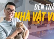 Vật Vờ| Mời bạn tới thăm nhà của mình