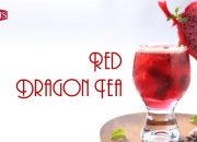 Rich's hướng dẫn pha chế Trà Thanh Long Đỏ (Red Dragon Tea)