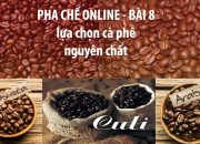 HỌC PHA CHẾ – BÀI 8 – LỰA CHỌN CÀ PHÊ NGUYÊN CHẤT