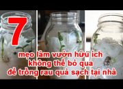 7 mẹo làm vườn hữu ích không thể bỏ qua để trồng rau quả sạch tại nhà