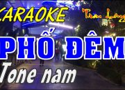 karaoke Phố đêm tone nam | Tran Long