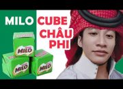 REVIEW MILO CUBE VUÔNG NHẬP KHẨU TỪ CHÂU PHI